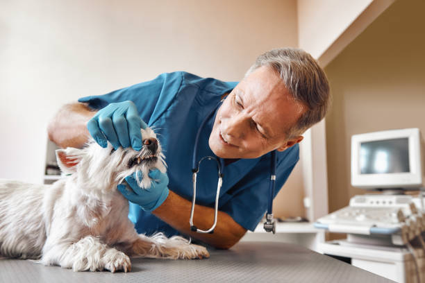 Best Weekend Emergency Dentist in Blaine, MN